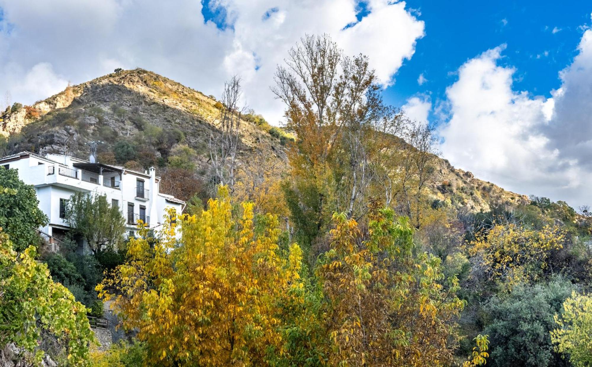 Casa Rural Arroyo De La Greda Güéjar Sierra Kültér fotó