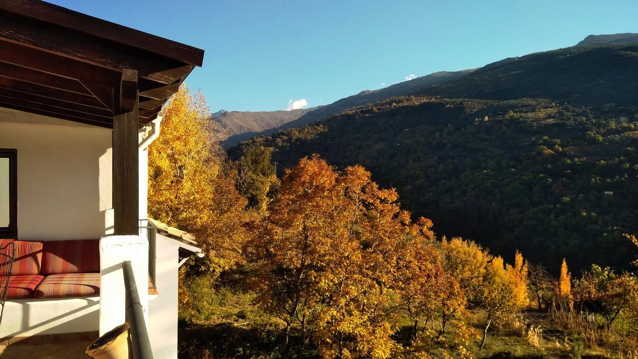 Casa Rural Arroyo De La Greda Güéjar Sierra Kültér fotó