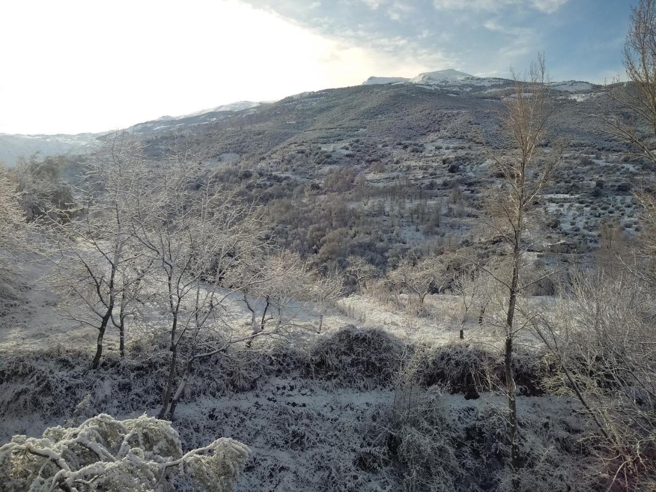 Casa Rural Arroyo De La Greda Güéjar Sierra Kültér fotó